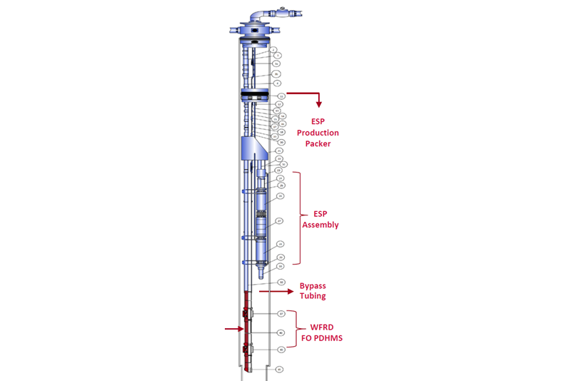 Fiber Optic Downhole Monitoring System