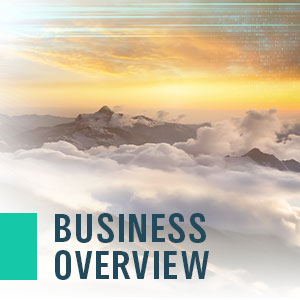 Key Section Business Overview