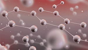 LCM 115–116 Polymer System